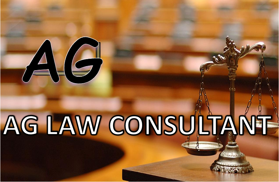 Legal Background